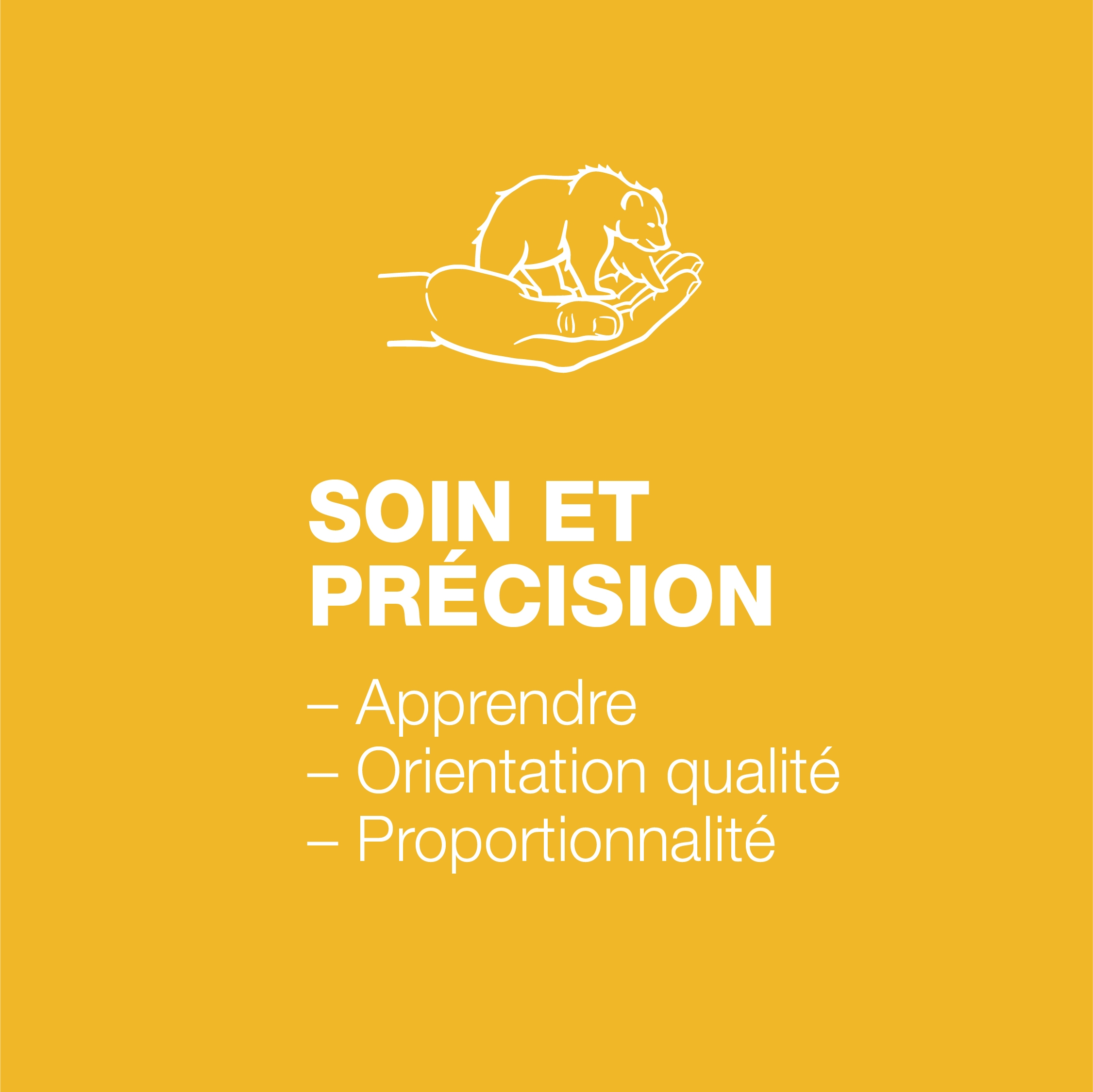 soin et précision